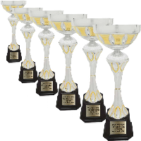 290 Series Metal Trophy Cups