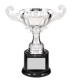 CMC101S SILVER METAL CUP
