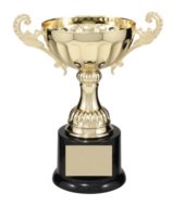 CMC102G GOLD METAL CUP