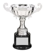 CMC102S SILVER METAL CUP