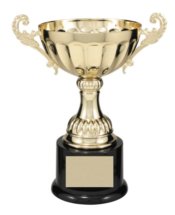 CMC103G GOLD METAL CUP