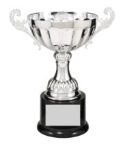 CMC103S SILVER METAL CUP