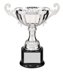 CMC104S SILVER METAL CUP