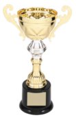 CMC201G GOLD METAL CUP