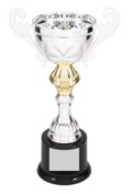 CMC201S SILVER METAL CUP