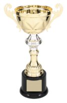 CMC202G GOLD METAL CUP