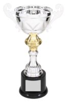 CMC202S SILVER METAL CUP