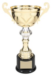 CMC204G GOLD METAL CUP