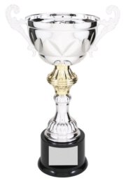 CMC204S SILVER METAL CUP