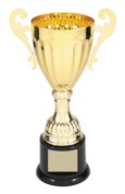 CMC301G GOLD METAL CUP