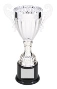 CMC301S SILVER METAL CUP