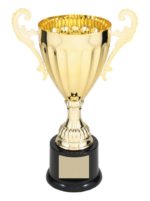CMC302G GOLD METAL CUP