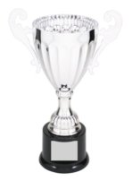 CMC302S SILVER METAL CUP