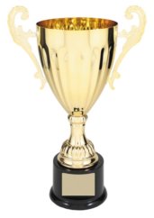 CMC303G GOLD METAL CUP
