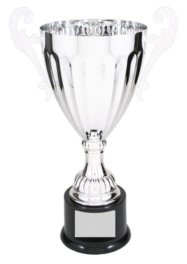 CMC304S SILVER METAL CUP