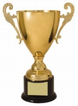 CMC503G GOLD METAL CUP