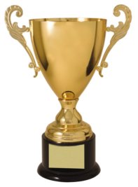 CMC505G GOLD METAL CUP