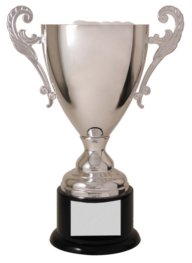 CMC505S SILVER METAL CUP