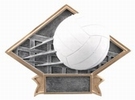 6" x 8 1/2" VOLLEYBALL Diamond Plate