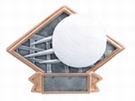 4 1/2" x 6" VOLLYBALL Diamond Plate