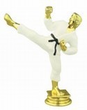 Color 5.25" Male Karate figure