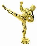 Gold 6.25" Male Karate figure