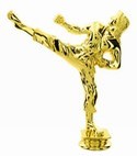 Gold 6" Female Karate figure