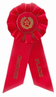 2nd Place Red Rosette Award Ribbon