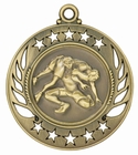 Galaxy Wrestling Medal