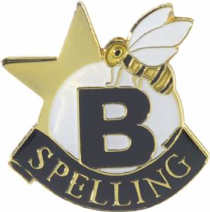 Spelling Lapel Pin with Presentation Box