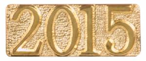 Gold 2015 Lapel Chenille Insignia Pin - Metal