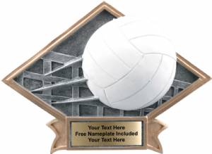 6" x 8 1/2" Volleyball Diamond Trophy Plate Hand Painted
