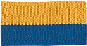7/8" x 32" Neck Ribbon with Snap Clip - 37 color choices #22
