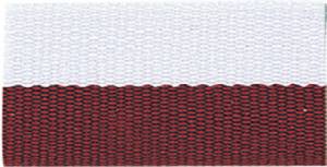 7/8" x 32" Neck Ribbon with Snap Clip - 37 color choices #28