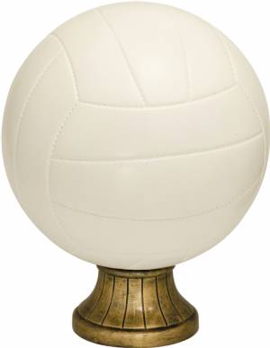 10 1/2" Color Volleyball Resin