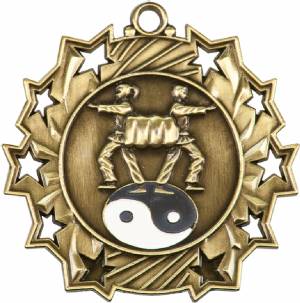 Ten Star Series Martial Arts Award Medal #2