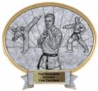 Karate Male - Legend Series Resin Award 8 1/2" x 8"