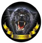 Panthers Mascot 2