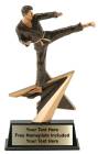 7" Karate Star Power Sport Resin Trophy