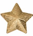 Gold Star Lapel Chenille Insignia Pin - Metal