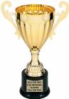 9 3/4" Gold Metal Cup Trophy