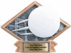 4 1/2" x 6" Volleyball Diamond Trophy Plate Hand Painted