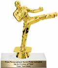 5 3/4" Male Karate Trophy Kit