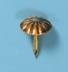 3/8" Gold Domed Head Plaque Nail