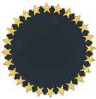2 1/2" Black / Gold Star Plaque Mount with 2" Insert Holder