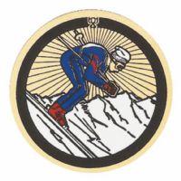 2" Downhill Skiing Gold Mylar Trophy Insert