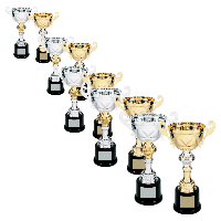 200 Series Metal Trophy Cups