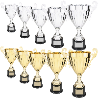 300 Series Trophy Cups