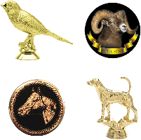 Animal Trophy Parts