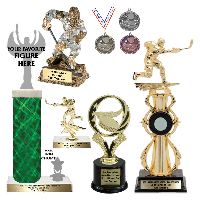 Hockey Trophies and Awards